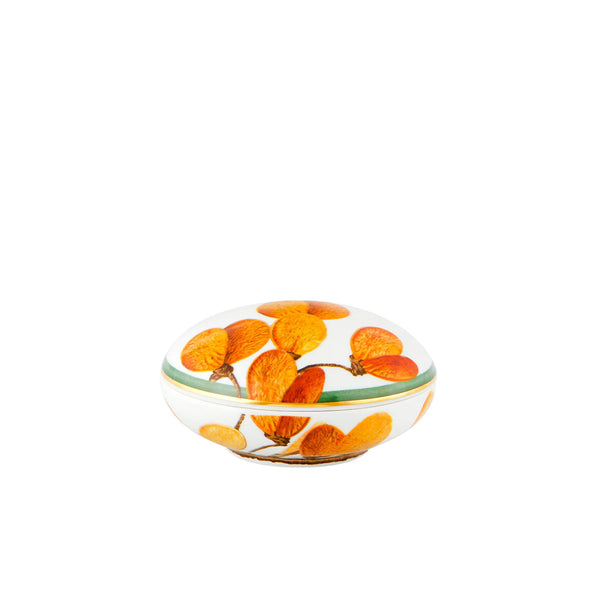 VISTA ALEGRE AMAZONIA LARGE ROUND BOX
