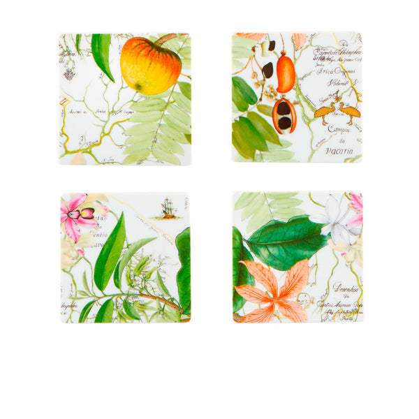 VISTA  ALEGRE AMAZONIA SET OF 4 COASTERS