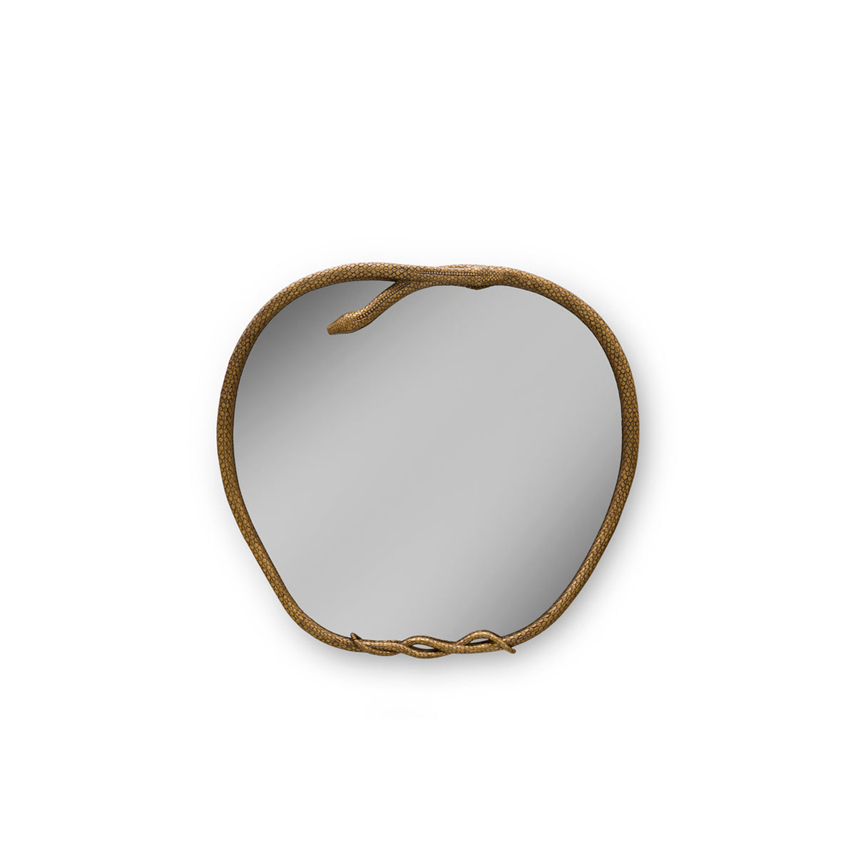 Serpentine mirror shop